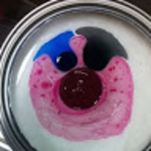 Meet your Posher, Craig